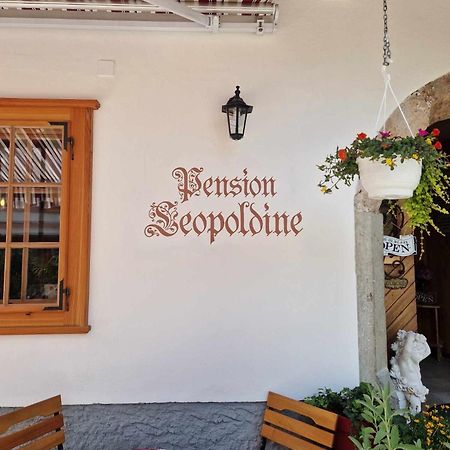 Pension Leopoldine Hallstatt Exterior foto